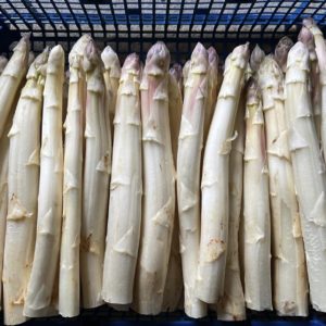 Asperge Blanche en botte 1kg - LEGRAND Pierre
